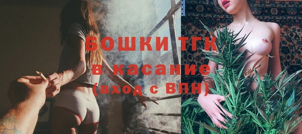 трава Пересвет