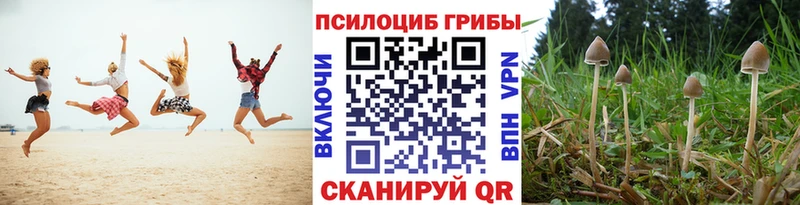 Псилоцибиновые грибы мухоморы  Купить где  Яхрома 